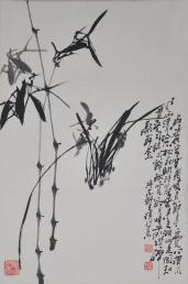 033张行素
