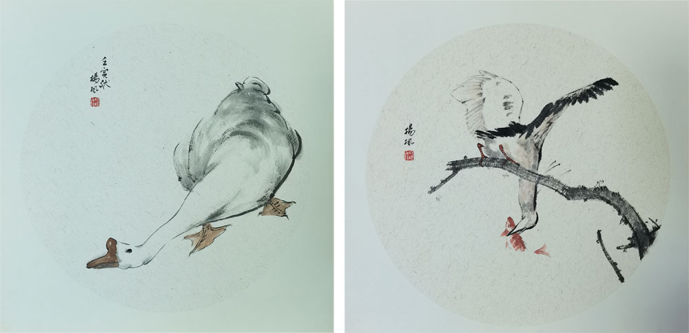 431杨枫