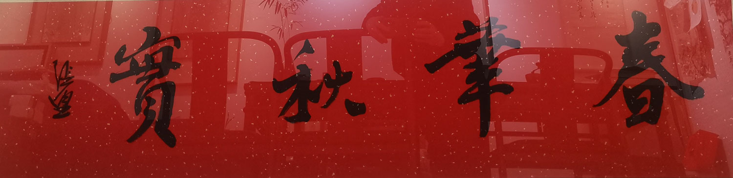 409张望
